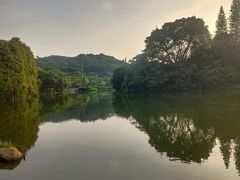 -深圳仙湖植物园