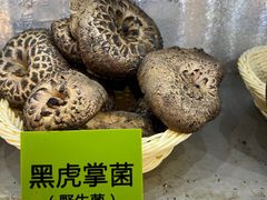 -菌海森林·非遗野生菌火锅(西山区滇池路摩根道店)