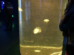 -福州罗源湾海洋世界旅游区