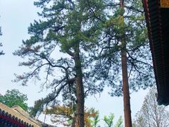 -承德避暑山庄景区