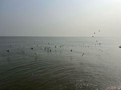 -天津东疆湾沙滩景区