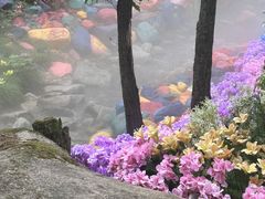 -洛阳白云山景区