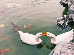 -祝家花園(伯渎港店)