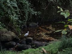 -杭州植物园