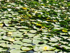 -旅马餐厅(茅家埠店)