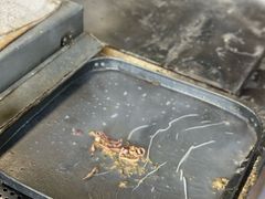 -山水肠粉(盐田店)