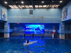 -锦艺城海洋馆