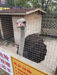 -萌宠亲子动物乐园(槐房万达店)