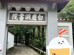 -白鹿洞书院