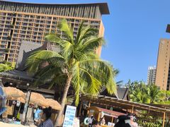 -亚马逊丛林水乐园