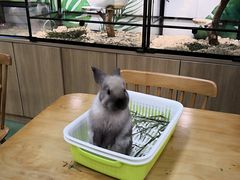 -藦茜花园宠物主题亲子互动体验馆(国顺东路店)