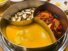 -青瓷火锅料理(西单大悦城店)