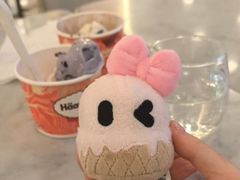 -哈根达斯(龙湖时代天街店)