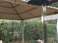 -喜运来大酒店温泉
