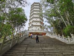 -深圳国际园林花卉博览园