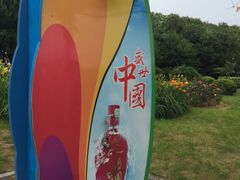 -碧海金沙