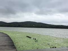 -水上明月·湖景餐厅