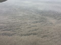 -台山黑沙湾海浴场