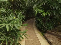 -石家庄市植物园