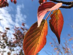 -杭州城北体育公园