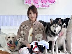 -汪说·狗咖·拼豆·宠物周边DIY(旺城大厦店)
