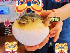 -肆月河豚·新淮扬(金融街店)