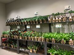 -鹿岛会员店 (龙湖三千集天街店)