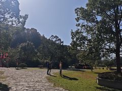 -陶祖圣境风景区