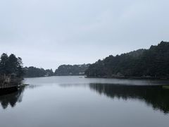 -庐山风景区花径公园