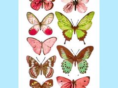 餐具摆设-蝶舍·MAISON PAPILLON