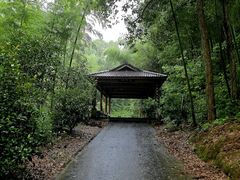 -龙坞茶村