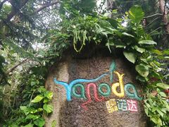 -呀诺达热带雨林