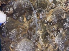 -海天盛宴潮汕蒸汽海鲜高端自助形象店