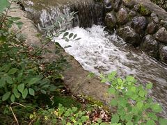 -青峰峡国家森林公园