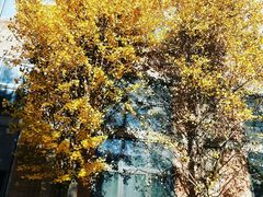 -中国艺术研究院油画院