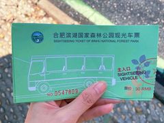 -合肥滨湖国家森林公园