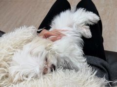 -凤凰汇购物中心