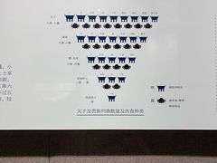-平顶山博物馆