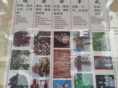 -广州神农草堂中医药博物馆