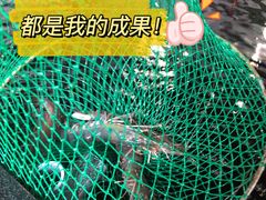 -白沙浮娱乐广场