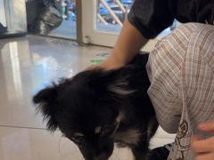 -艾贝尔宠物医院 ·中兽医·宠保定点(北门桥店)