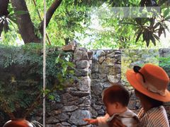 -东湖34号餐厅·湖北菜