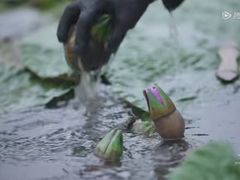 -随柳居·苏式小吃(建新巷店)