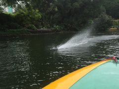 -晓港公园