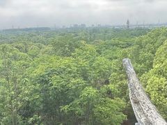 -梁鸿国家湿地公园