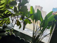 -小龙坎火锅(沙井店)