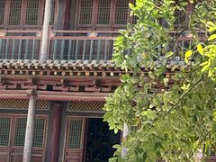 -张掖大佛寺景区