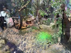 -上海大自然野生昆虫馆(东方明珠·爬宠昆虫探索中心)