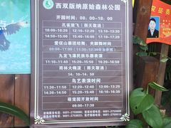 -西双版纳原始森林公园