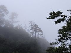 -峨眉山风景名胜区